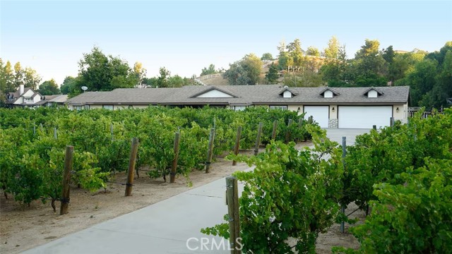 Front Image Thumbnail for CRSW26110874