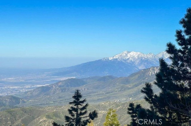 Detail Gallery Image 49 of 49 For 1960 Willow Dr, Running Springs,  CA 92382 - 4 Beds | 3 Baths