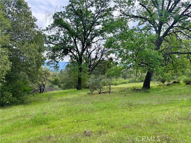 3038 Country Court, Mariposa CA: https://media.crmls.org/medias/b77d1072-896d-49f4-9df8-c59763dcdb7e.jpg