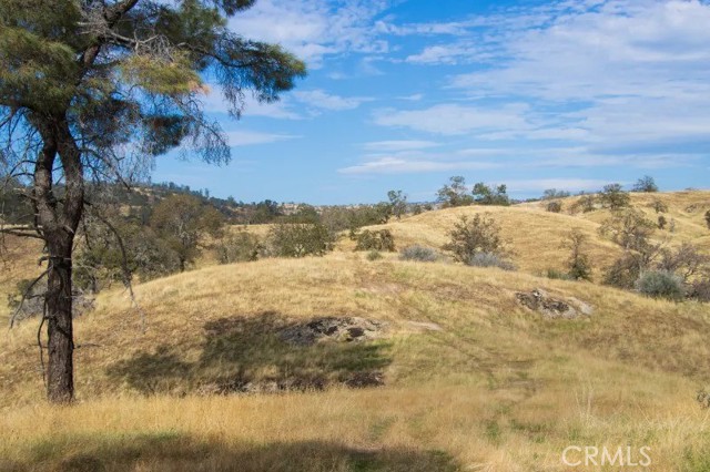 Detail Gallery Image 2 of 43 For 0 Millstream, Coarsegold,  CA 93614 - – Beds | – Baths