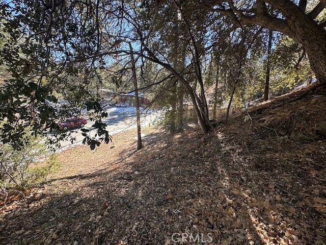 Detail Gallery Image 9 of 11 For 0 Flume Canyon, Wrightwood,  CA 92397 - – Beds | – Baths