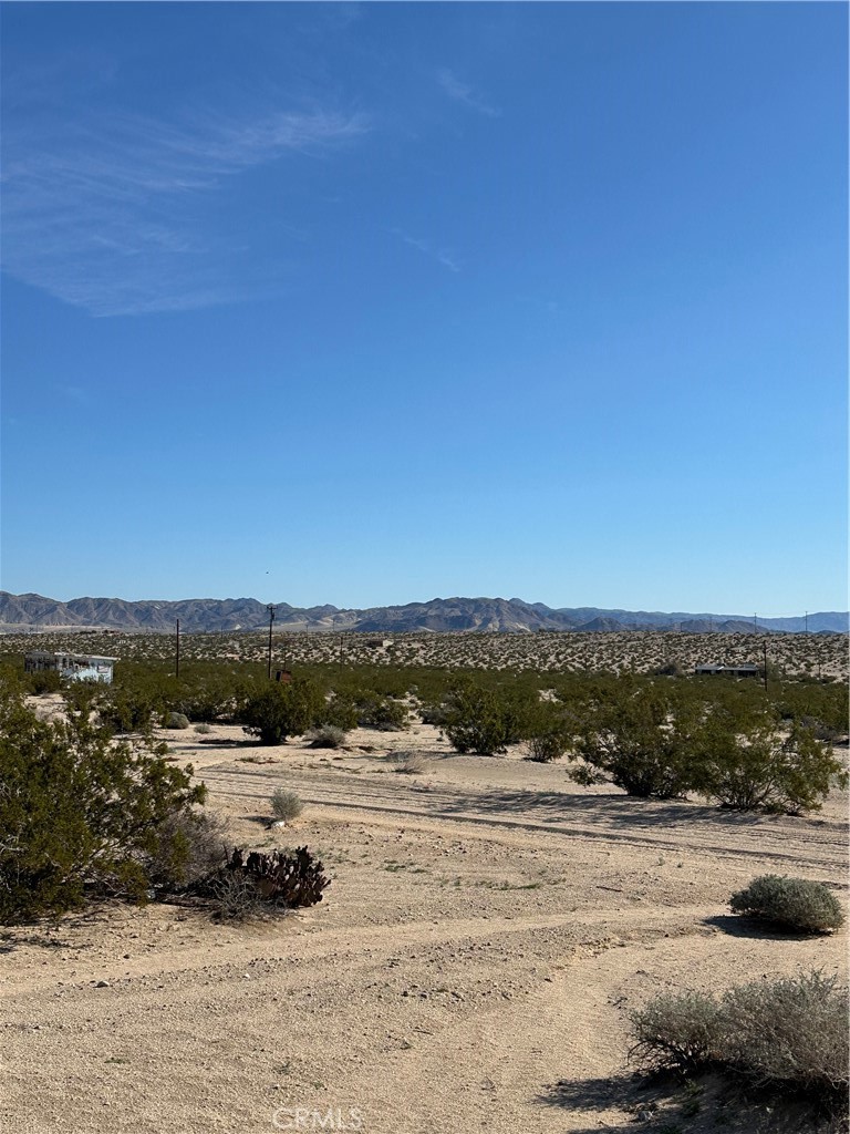 MLS #JT24055420 image #4
