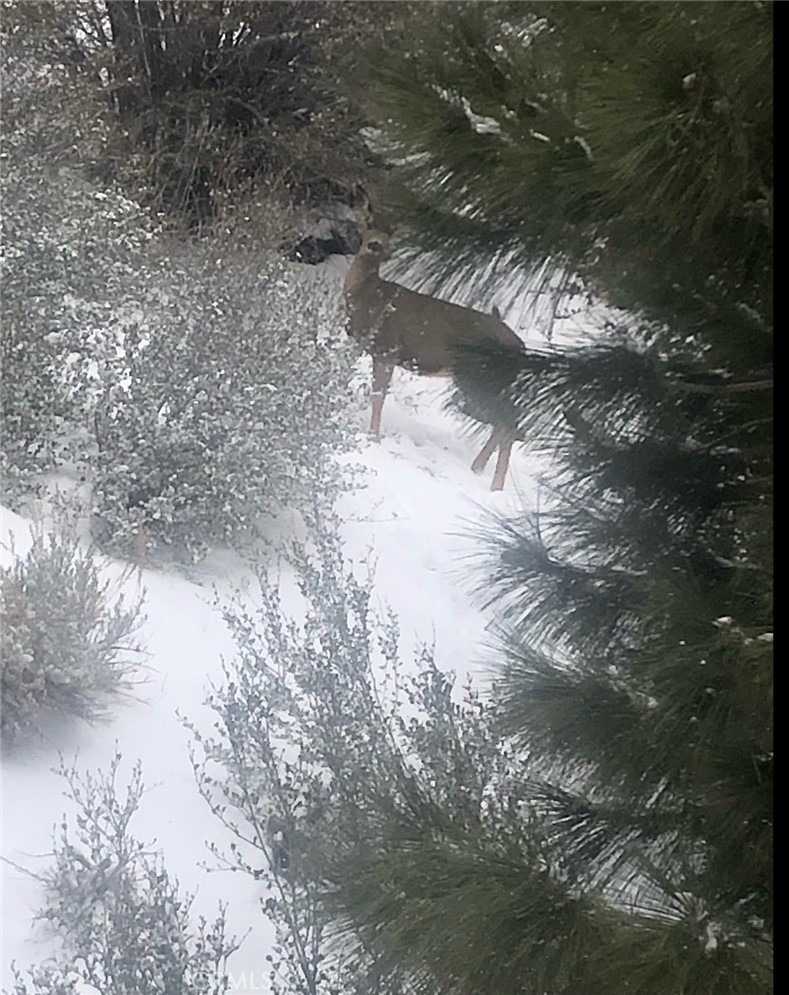 https://media.crmls.org/medias/b790aaaf-ca68-44ee-bdba-7391b89adf93.jpg?preset=X-Large