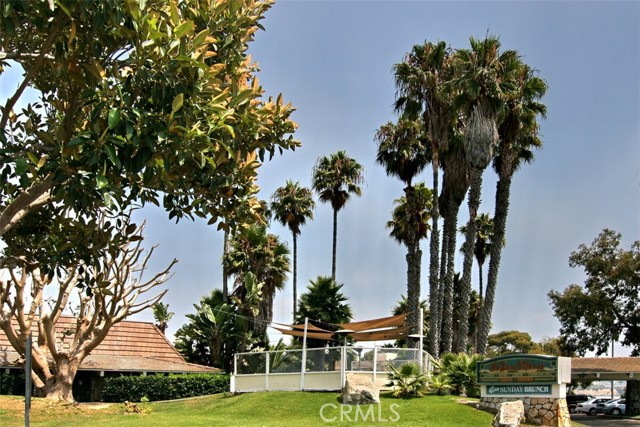 Detail Gallery Image 24 of 34 For 33602 Blue Lantern St #B,  Dana Point,  CA 92629 - 2 Beds | 1 Baths