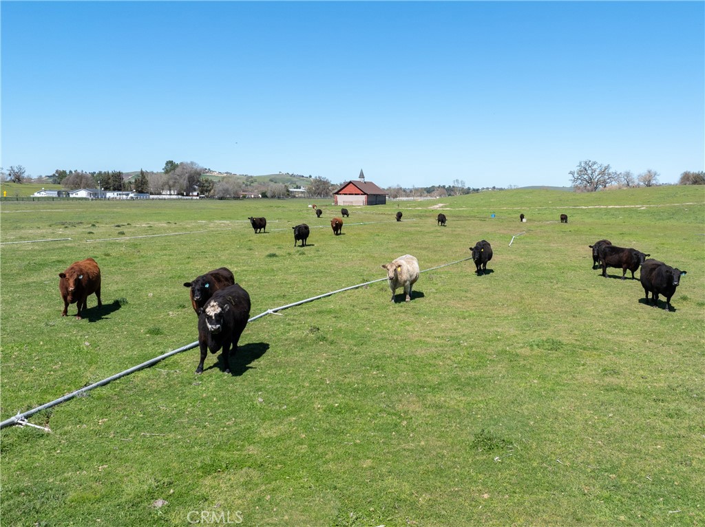 MLS #SC25117762 image #49