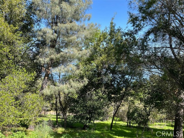 Detail Gallery Image 4 of 7 For 8452 Soda Bay Rd, Kelseyville,  CA 95451 - – Beds | – Baths