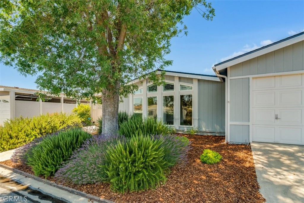 MLS #SC25165814 image #4