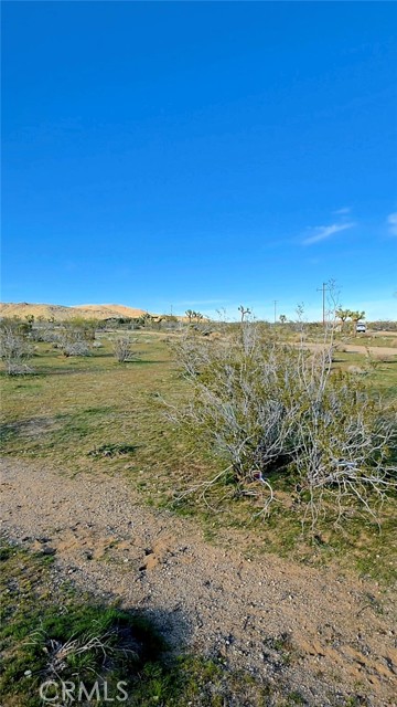 Detail Gallery Image 16 of 19 For 59787 Sharp Terrace, Yucca Valley,  CA 92284 - – Beds | – Baths