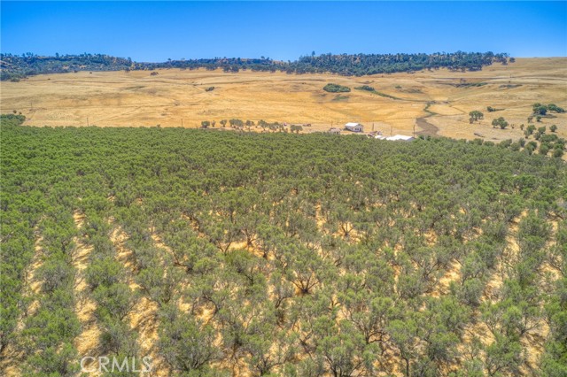 16 Rocky Drive, Oroville CA: https://media.crmls.org/medias/b7a75d1f-fe46-438d-b142-f7b81d172b8e.jpg