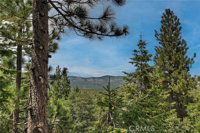 Detail Gallery Image 45 of 50 For 1377 La Crescenta Dr, Big Bear City,  CA 92314 - 3 Beds | 3/1 Baths