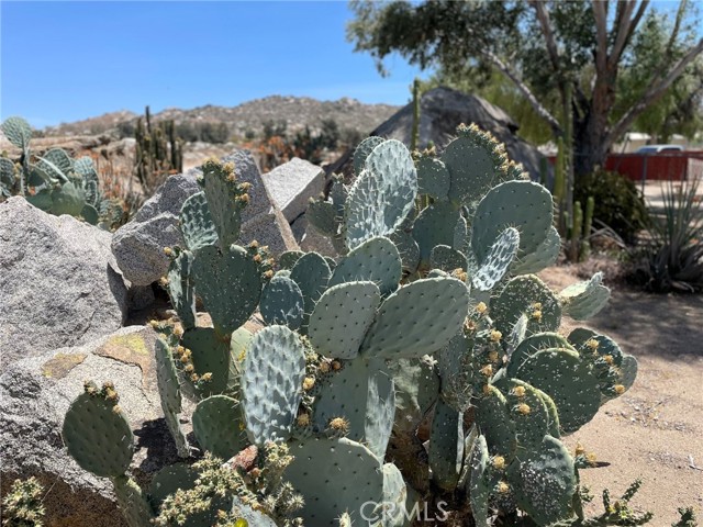 22910 Olivas Avenue, Nuevo CA: https://media.crmls.org/medias/b7aa9de0-8a1b-4fd9-9cd1-e35d187ed54d.jpg