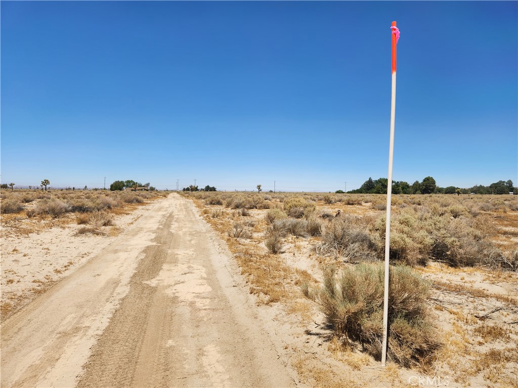 MLS #HD25117679 image #5