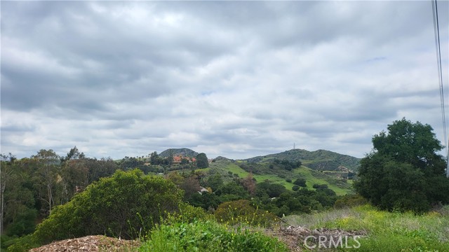 Detail Gallery Image 3 of 5 For 28052 Modjeska Grade Rd, Silverado,  CA 92676 - – Beds | – Baths