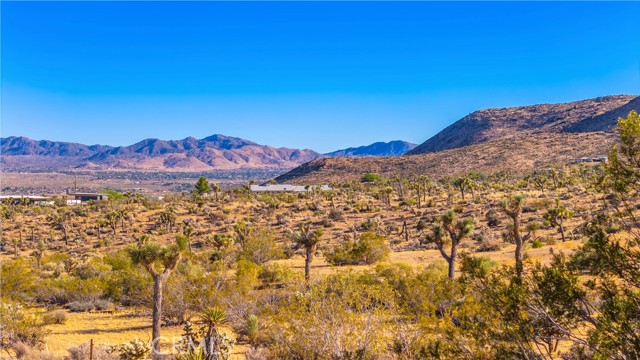 Detail Gallery Image 54 of 75 For 58871 Meredith Ct, Yucca Valley,  CA 92284 - 3 Beds | 2 Baths