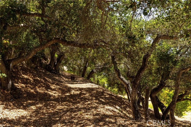 Detail Gallery Image 40 of 40 For 1385 Corberosa Dr, Arroyo Grande,  CA 93420 - 4 Beds | 3/1 Baths