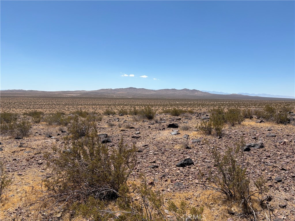 MLS #IV26190760 image #6