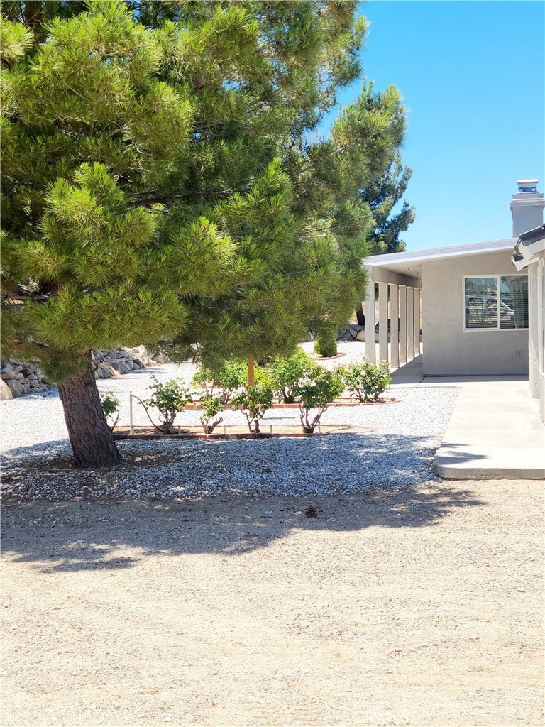 B7C59D58 6Dc1 45Ef Ad4C 8685F789Ecdc 325 Canyon Road, Pinon Hills, Ca 92372 &Lt;Span Style='BackgroundColor:transparent;Padding:0Px;'&Gt; &Lt;Small&Gt; &Lt;I&Gt; &Lt;/I&Gt; &Lt;/Small&Gt;&Lt;/Span&Gt;
