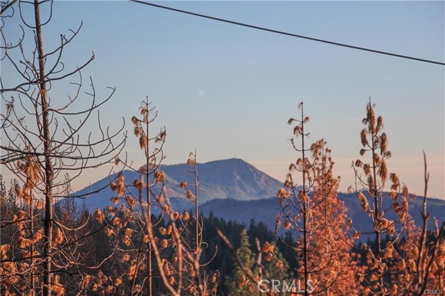 15600 Sugar Pine, Cobb, CA, 95426 15600 Sugar Pine, Cobb, CA, 95426