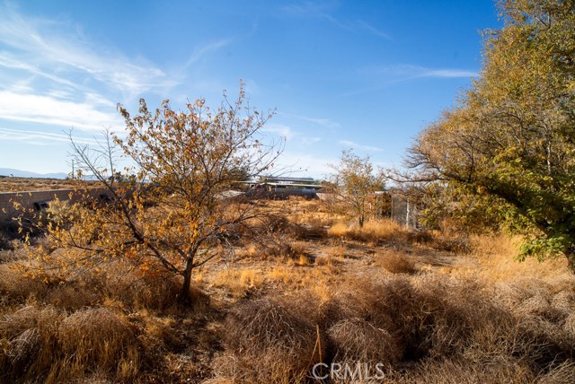 Detail Gallery Image 25 of 26 For 44315 88th St, Lancaster,  CA 93535 - 3 Beds | 2 Baths