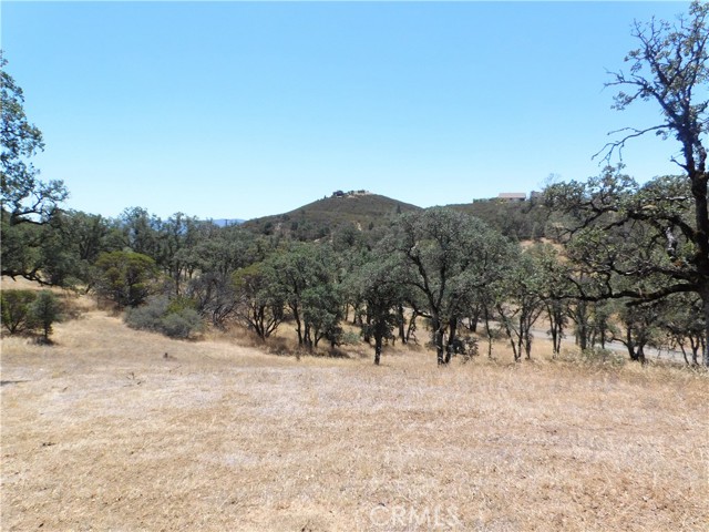 997 Watertrough Rd, Clearlake Oaks, California 95423, ,Land,For Sale,997 Watertrough Rd,CRLC22160410