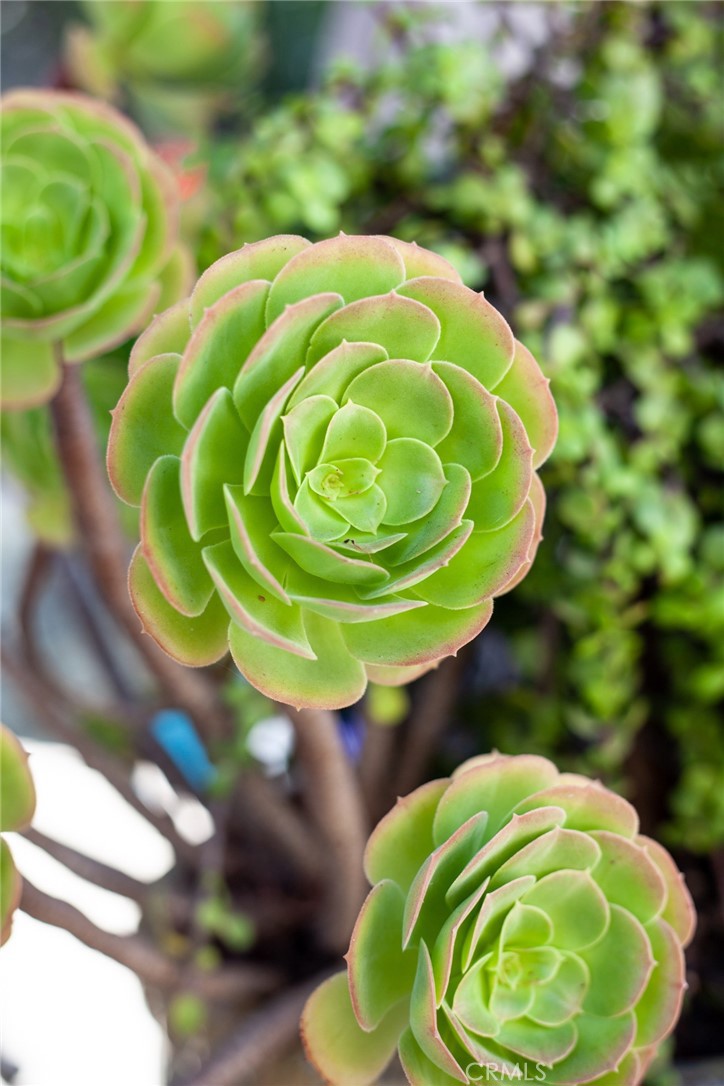 https://media.crmls.org/medias/b7d585cb-3499-4c78-8375-4da84fab2587.jpg?preset=X-Large