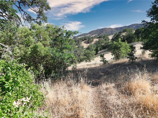 Detail Gallery Image 4 of 5 For 2405 Greeley St, Nice,  CA 95464 - – Beds | – Baths