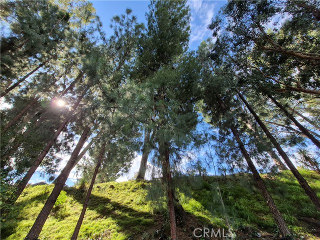 Detail Gallery Image 43 of 66 For 4040 Piedmont Dr #356,  Highland,  CA 92346 - 2 Beds | 2 Baths