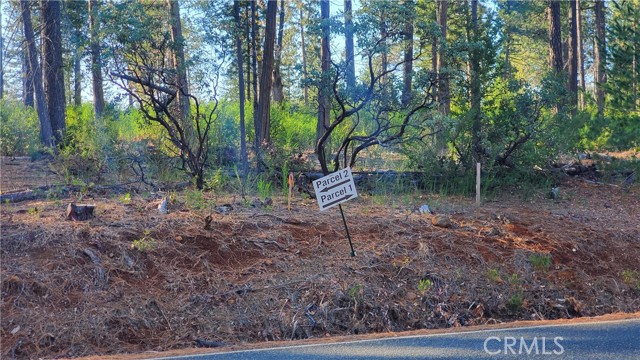 1 Coutolenc Road, Magalia, California 95954, ,Land,For Sale,1 Coutolenc Road,CRSN23217034