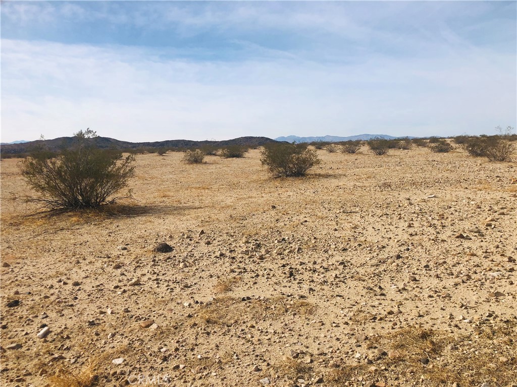 MLS #JT25073634 image #6