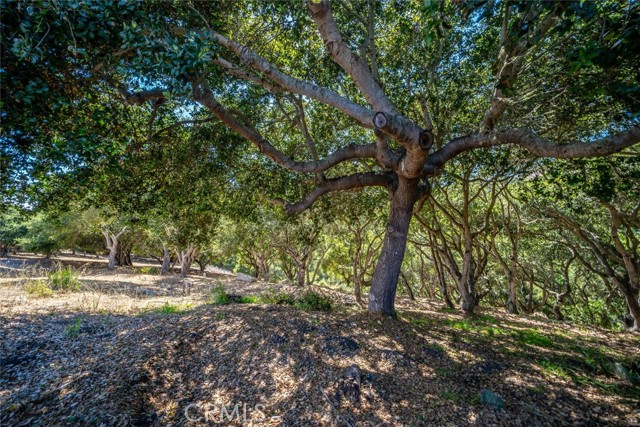 991 Visalia Street, Pismo Beach CA: https://media.crmls.org/medias/b7f1c689-126e-46b2-856a-6e6bf40beaee.jpg
