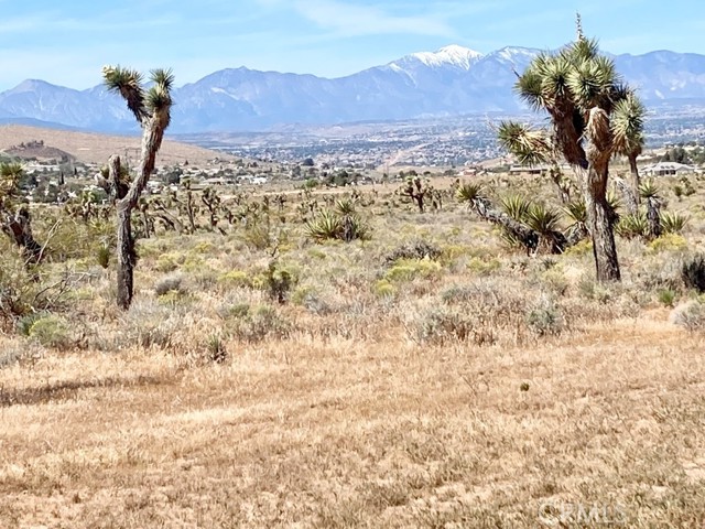 Image 5 of 9 For 9950 Belfast Road