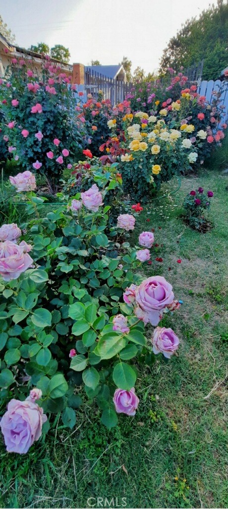 https://media.crmls.org/medias/b7f7e74d-4caa-43f1-b98e-45136b2d6159.jpg?preset=X-Large