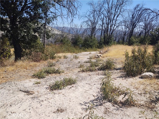 363 Raccoon Road, Berry Creek, California 95916, ,Land,For Sale,363 Raccoon Road,CROR24029245