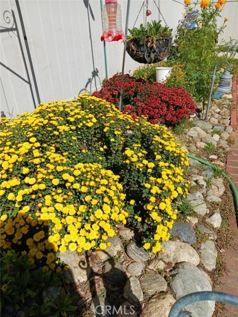 6353 Colonial, Banning CA: https://media.crmls.org/medias/b801b5a6-032a-4c43-b861-7965bf3f2f05.jpg