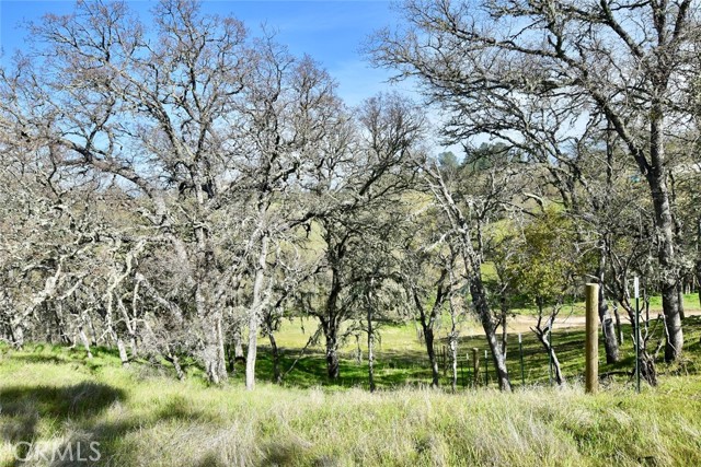 Detail Gallery Image 9 of 17 For 0 Bryson Hesperia Rd, Bradley,  CA 93426 - – Beds | – Baths