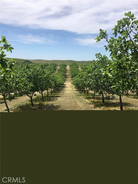 Detail Gallery Image 6 of 7 For 17981 Los Cerritos, Snelling,  CA 95369 - – Beds | – Baths