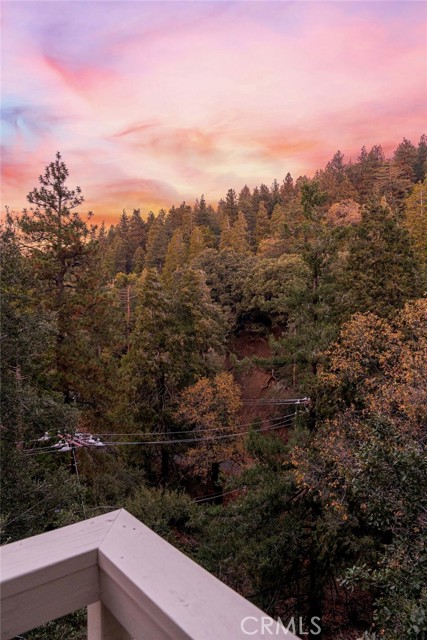 Detail Gallery Image 28 of 30 For 989 Calanda, Crestline,  CA 92325 - 2 Beds | 2 Baths