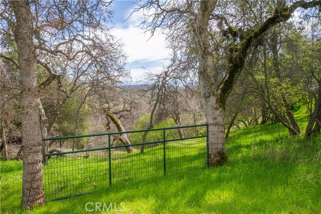 Detail Gallery Image 40 of 55 For 51859 Sesame, Squaw Valley,  CA 93675 - 2 Beds | 2 Baths