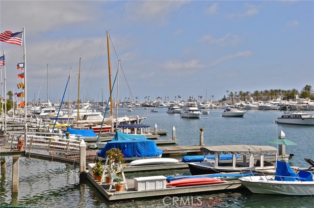 B81cf528 9cfa 48fb 9124 1472e03da823