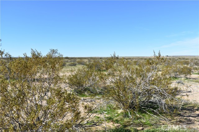 Detail Gallery Image 7 of 31 For 25 Frontier, Helendale,  CA 92342 - – Beds | – Baths