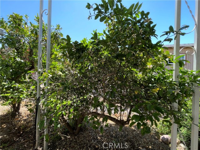 Detail Gallery Image 58 of 74 For 200 N El Camino Real #107,  Oceanside,  CA 92058 - 2 Beds | 2 Baths