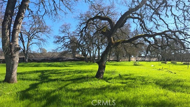 Detail Gallery Image 10 of 22 For 123 Rail Bridge Rd, Oroville,  CA 95966 - 1 Beds | 3 Baths