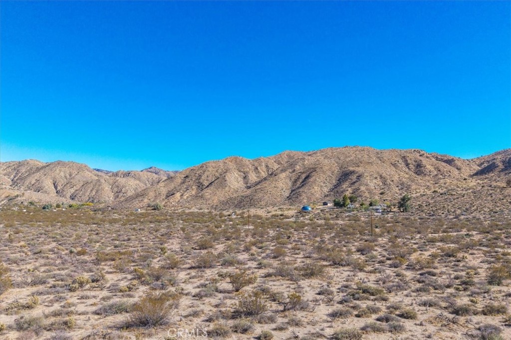 MLS #JT25257791 image #20