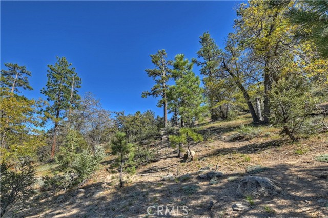 Detail Gallery Image 64 of 74 For 42402 Golden Oak Rd, Big Bear Lake,  CA 92315 - 4 Beds | 4/1 Baths