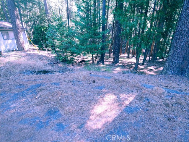 0 Tyler, Magalia, CA, 95954 0 Tyler, Magalia, CA, 95954