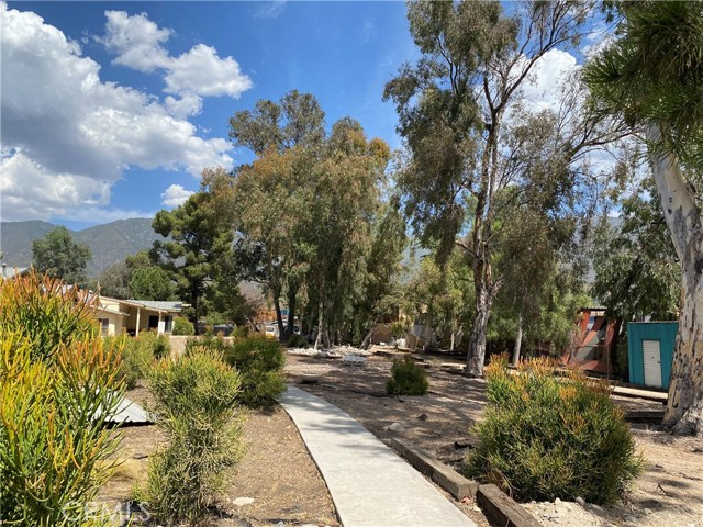 Front Image Thumbnail for CRIG26026121