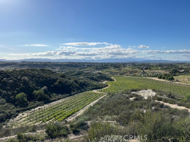 0 Chaparral Dr, Temecula CA: https://media.crmls.org/medias/b848efc5-dcc9-4d48-85e9-89614ace261e.jpg