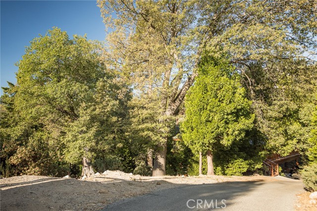 27492 Cedarwood Court, Lake Arrowhead CA: https://media.crmls.org/medias/b84a6267-5949-4a5b-94eb-3e0194403c6c.jpg