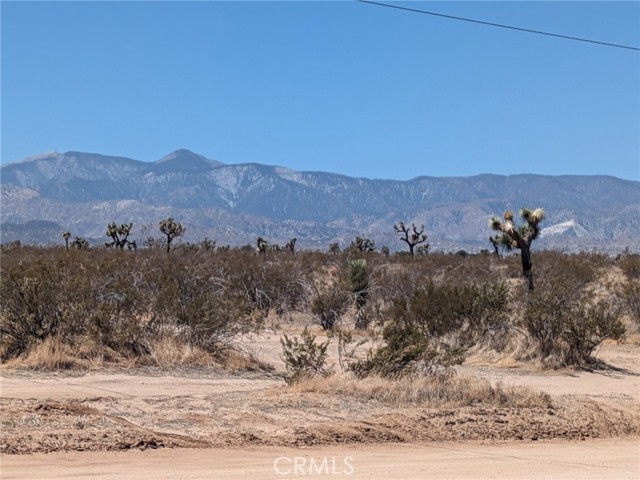 Detail Gallery Image 10 of 15 For 0 Del Rosa Rd, Phelan,  CA 92371 - – Beds | – Baths