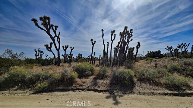 Detail Gallery Image 4 of 49 For 0 103rd St East Vicinity W14, –,  CA 93543 - – Beds | – Baths